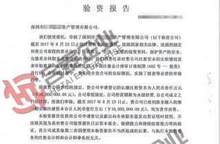 內(nèi)資驗(yàn)資報(bào)告