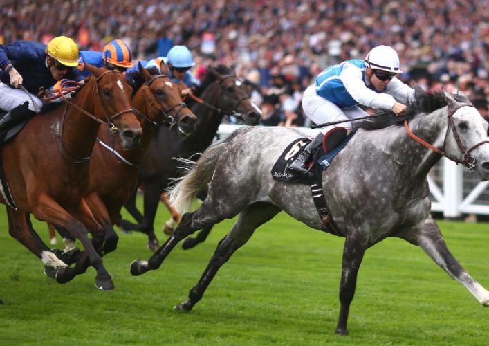 海南賽馬要來了，相關產業鏈公司注冊發展可期