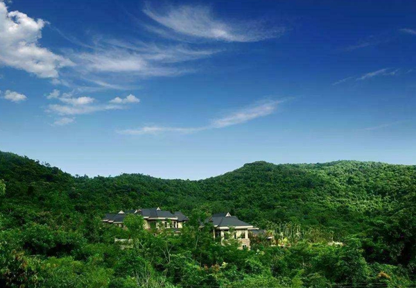 農林業包括哪些行業 ，注冊海南公司新優惠政策.jpg