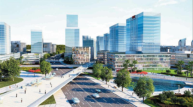 1615383161907156.jpg 2.jpg