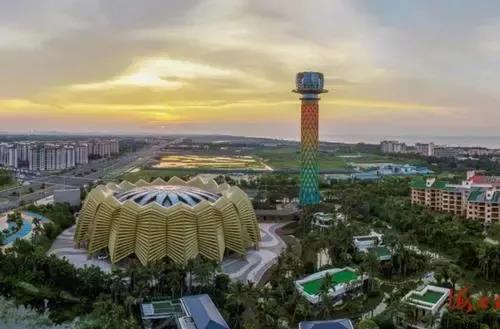 1625055574363150.jpg 1.jpg